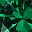 Gold Tone Green