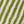 Lime Green Stripe