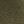 Medium Olive