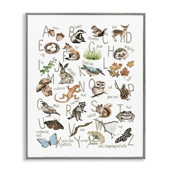Stupell Home Decor Woodland Nature Alphabet Thin Frame Canvas Wall Art