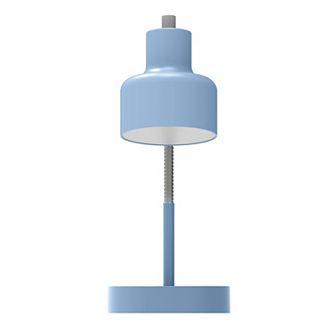 LED Desk Lamp with USB Charging Port