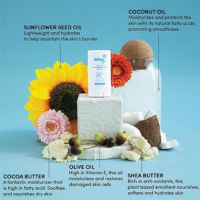Delta Children Bliss Baby 0.6-oz. SPF 50 Mineral Sunscreen Stick