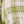 Green Olena Plaid