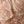 Beige Amber Paisley