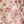 Cream Tilda Paisley