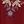 Burgundy Neckline