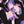 Lavender Iris Floral