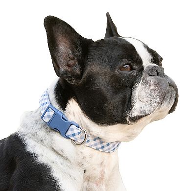 SportPet Gingham Check Pet Collar