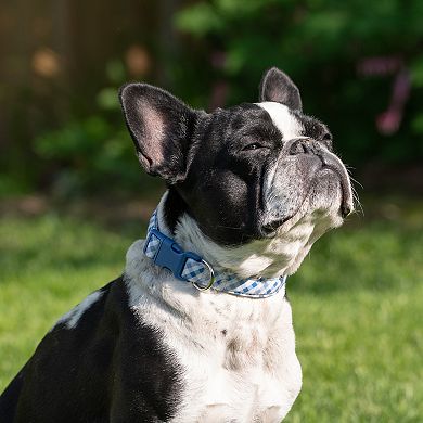 SportPet Gingham Check Pet Collar