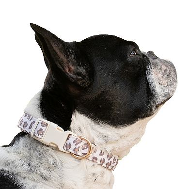 SportPet Leopard Print Pet Collar