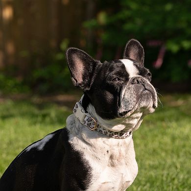 SportPet Leopard Print Pet Collar