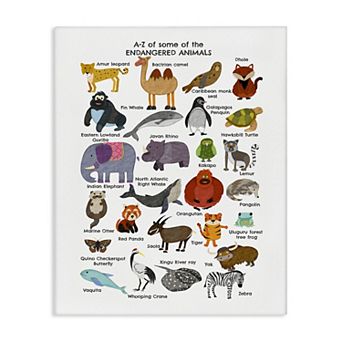 Stupell Home Decor Children's Endangered Animals Fun Alphabet Canvas Wall Art