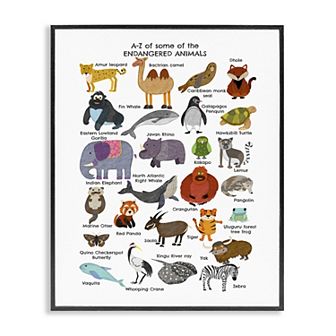 Stupell Home Decor Children's Endangered Animals Fun Alphabet Framed Wall Art