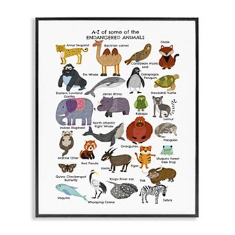 Stupell Home Decor Children's Endangered Animals Fun Alphabet Framed Wall Art