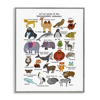 Stupell Home Decor Children's Endangered Animals Fun Alphabet Framed Wall Art