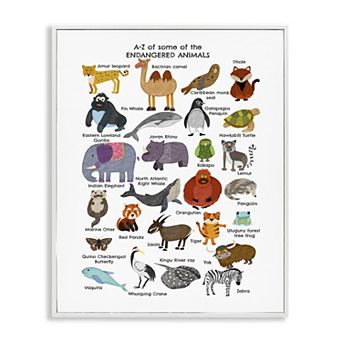 Stupell Home Decor Children's Endangered Animals Fun Alphabet Framed Wall Art