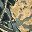 Black Tree Print
