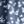 Dark Blue Floral
