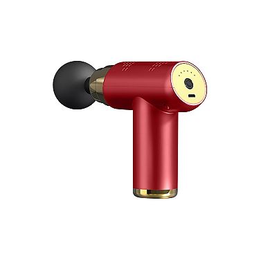 Ztech Prestigepro 6 Speed Massage Gun With 4 Attachments