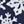 Midnight Navy