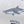 Sharks