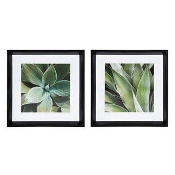 Calter Succulent Leaves Framed Print Art Set by Amy Peterson 2 pc