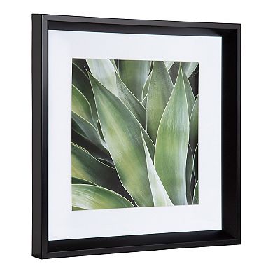 Calter Succulent Leaves Framed Print Art Set by Amy Peterson 2 Piece