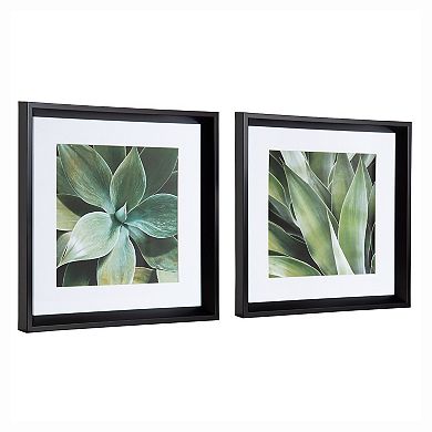 Calter Succulent Leaves Framed Print Art Set by Amy Peterson 2 Piece
