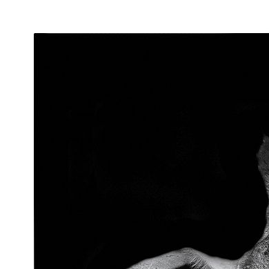 Minimalist Animal Portrait on Black Canvas by The Creative Bunch Studio 2 Piece 20x20