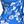 Blue White Flower