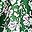 Green Flower