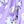 Purple White Flower