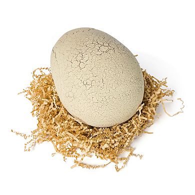 Spin Master Primal Hatch Interactive Toy Dinosaur & Egg