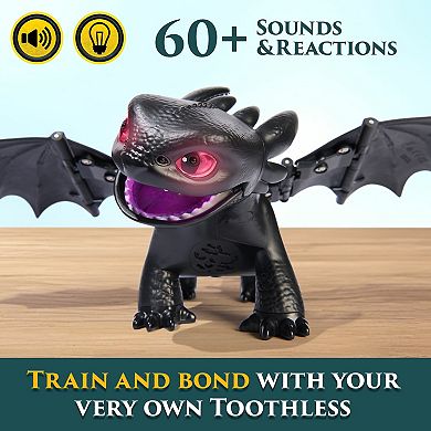 Spin Master How To Train Your Dragon Tame & Train Interactive Toothless Dragon Toy