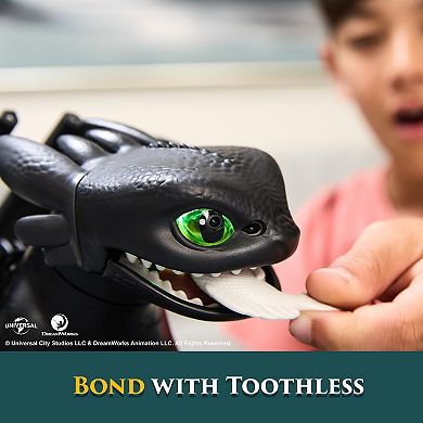Spin Master How To Train Your Dragon Tame & Train Interactive Toothless Dragon Toy