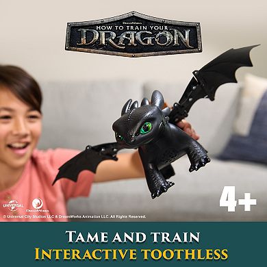 Spin Master How To Train Your Dragon Tame & Train Interactive Toothless Dragon Toy