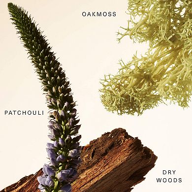 Woody Oak Rare Fragrance Layering Balm