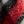 Black Red