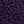 Exotic Plum