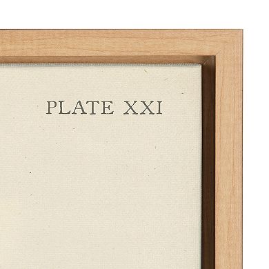 Sylvie Ferns Framed Canvas Set by Corinna Buchholz of Piddix