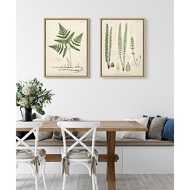 Sylvie Ferns Framed Canvas Set by Corinna Buchholz of Piddix