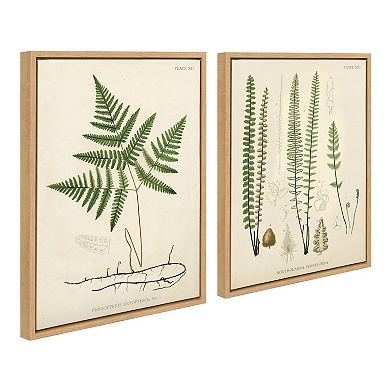 Sylvie Ferns Framed Canvas Set by Corinna Buchholz of Piddix