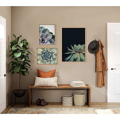 Sylvie Succulent Framed Canvas Set by Emiko and Mark Franzen of F2Images