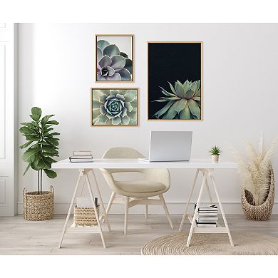 Sylvie Succulent Framed Canvas Set by Emiko and Mark Franzen of F2Images