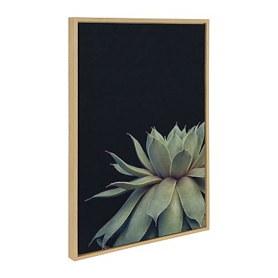 Sylvie Succulent Framed Canvas Set by Emiko and Mark Franzen of F2Images