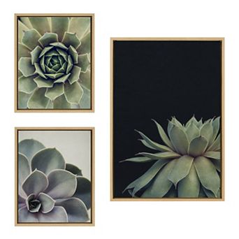 Sylvie Succulent Framed Canvas Set by Emiko and Mark Franzen of F2Images