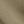 Olive Strata White