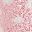 Bright Pink
