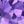 Gold Tone Purple