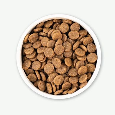Earthborn Holistic Great Plains Feast Bison Meal & Vegetables Grain-Free Dry Dog Food - 25 Lbs